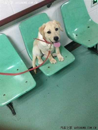 义乌泥鳅哥发作业_奔驰ML级论坛_手机汽车之