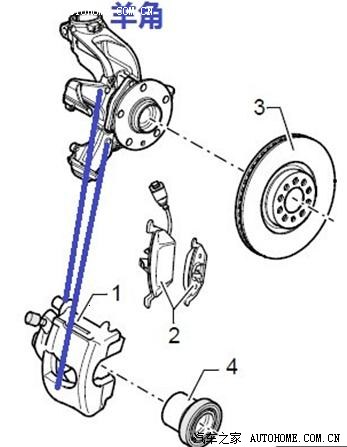 翼虎台湾羊角和大陆境内羊角的比较分析