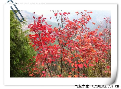 除却巫山不是云-却话巴山夜雨时!