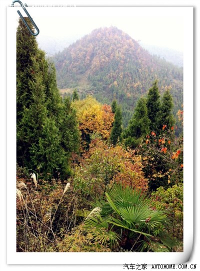 除却巫山不是云-却话巴山夜雨时!