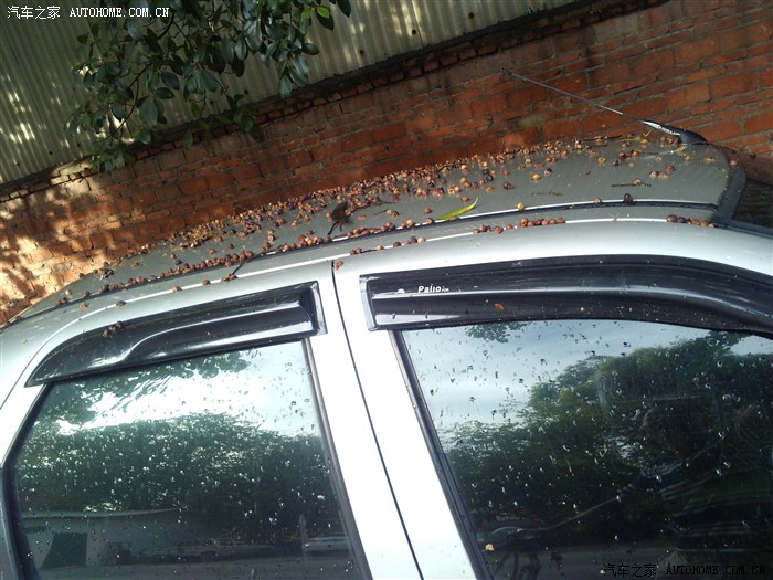 汽车之家手机网页版发贴测试