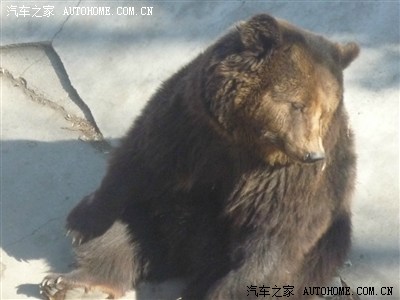父子进京提车流程,吉林蛟河--北京首都