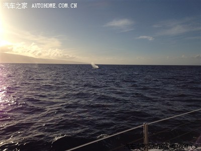 夏威夷大岛+茂宜岛+欧胡岛上天下海入地自驾