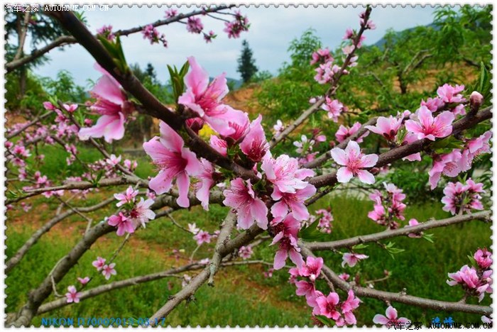 【全国】2013汽车之家论坛精选频道第一季度