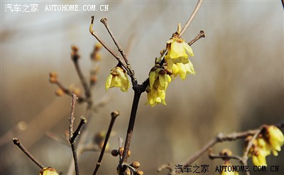 【首页】天意怜幽草,人间重晚晴--李商隐公园\/