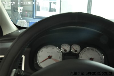 今天把你们没有见过的小狮子带回了家!开心啊