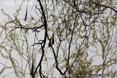 骑着摩托去西藏 【第一季】(直播我一哥们儿的