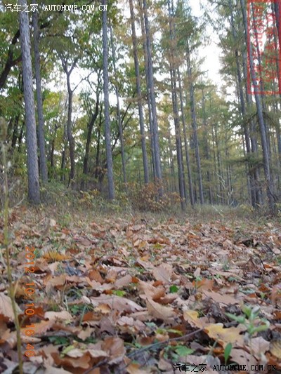 单车广州--长春往返,8000公里路800多张图,永