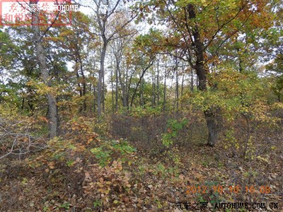 单车广州--长春往返,8000公里路800多张图,永