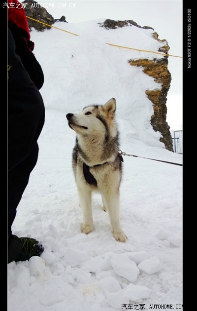 【首页推荐】五月行摄欧洲游记大片(有各种车