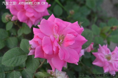 夕阳西下,青烟袅袅,我与旗友,朵颐烧烤。