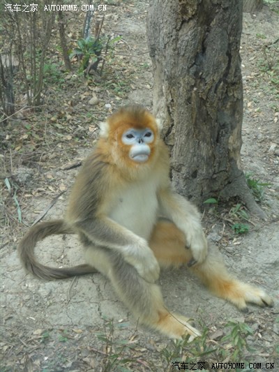 五一小长假 开着小欧去成都(有图)_赛欧论坛_手