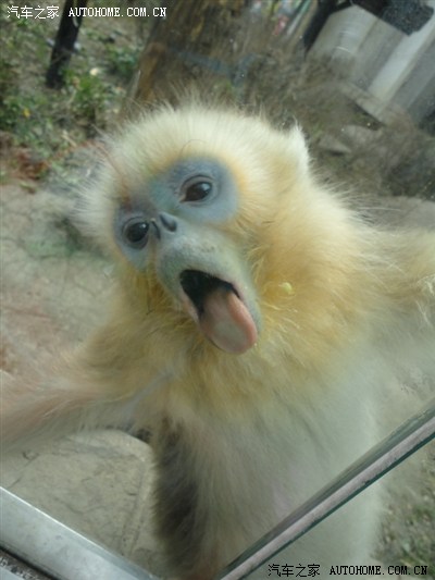 五一小长假 开着小欧去成都(有图)_赛欧论坛_手