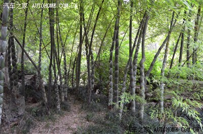 端午节,转战金堂、广汉雒城、成都望江楼一日