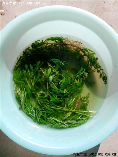 【端午节游记】--人在旅途_启辰D50论坛