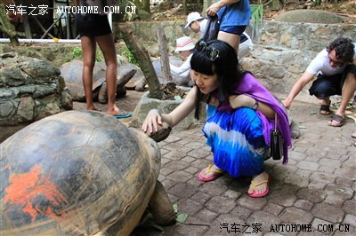 《自驾游征文第二季》梦想之旅,东非最后的伊