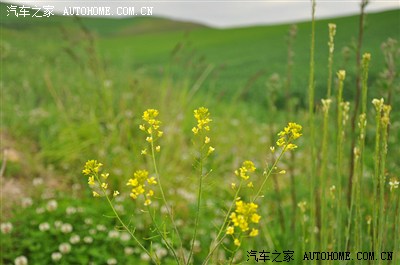 新疆风云2车友一万泉-江布拉克两日自驾游