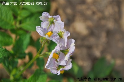 新疆风云2车友一万泉-江布拉克两日自驾游_新