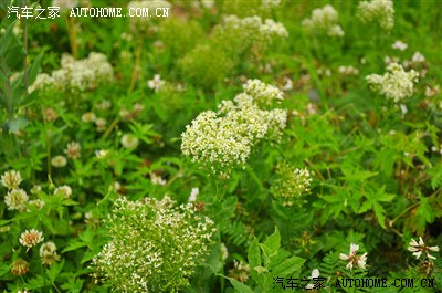 新疆风云2车友一万泉-江布拉克两日自驾游