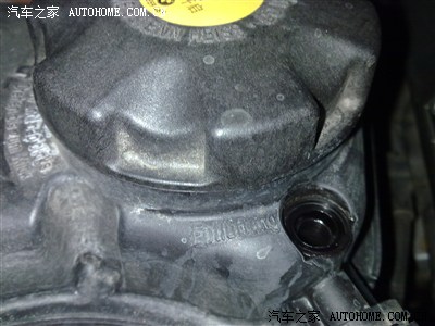 冷却液、发动机、转向机漏油.林总和各位帮忙