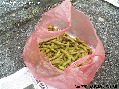 【辽阳锋范车友会】201307钓鱼比赛+自助烧烤