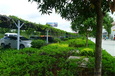 风、花、雪、月之旅--一家五口游云南(包括丁丁