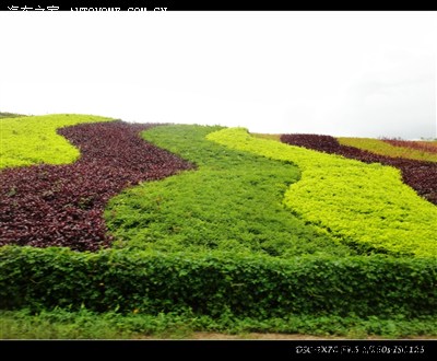 暑期三亚行(二):呀诺达热带雨林,大小洞天,天涯