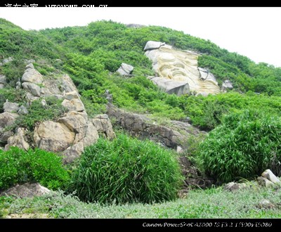 暑期三亚行(二):呀诺达热带雨林,大小洞天,天涯