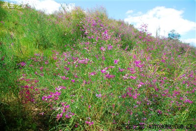 锡林郭勒草原游记(正镶白旗-平顶山-白音希勒-