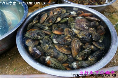 虫行天下之--云南大理双廊!(完)_广西