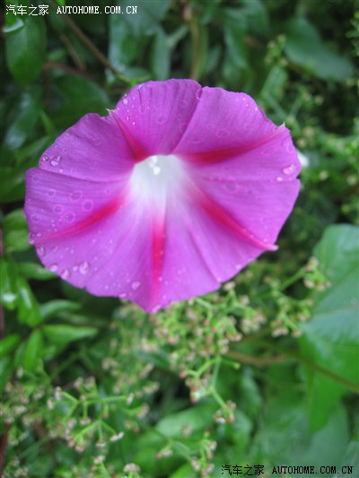 【景逸X5杯】H6-2.4AT珠海-云南自驾游(2013