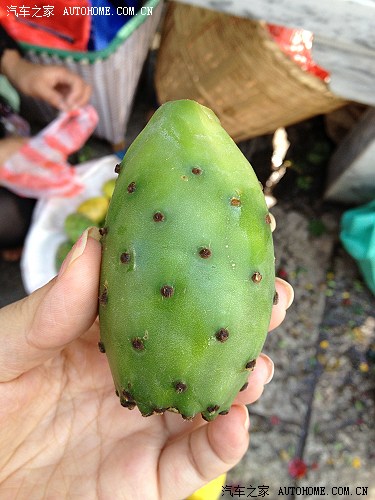 柳州至大理、丽江、虎跳峡7天4千公里自驾游