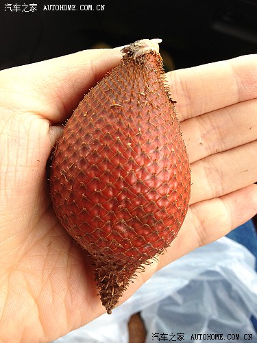 柳州至大理、丽江、虎跳峡7天4千公里自驾游