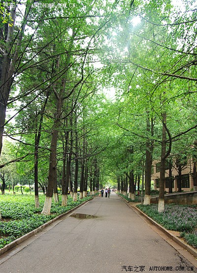 柳州至大理、丽江、虎跳峡7天4千公里自驾游