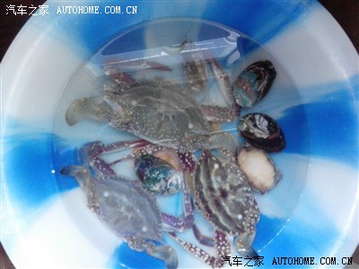 第二波,500公里沈阳丹东海鲜朝鲜内河之旅,多