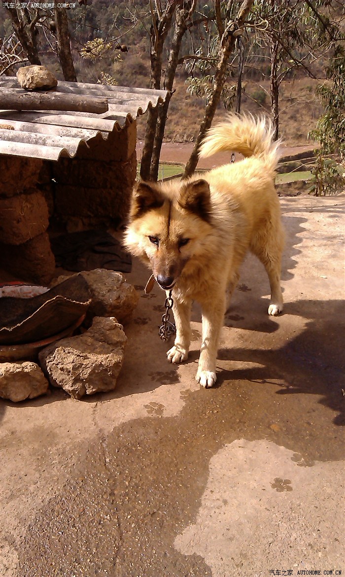 【图】马上考理论了,听说科三是最难考的是吗