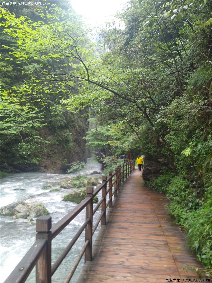 【图】张家界大峡谷自驾一日游5