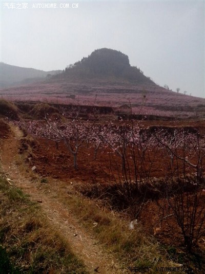 我是临沂人我承认我最穷上图。 多谢 坛友的关