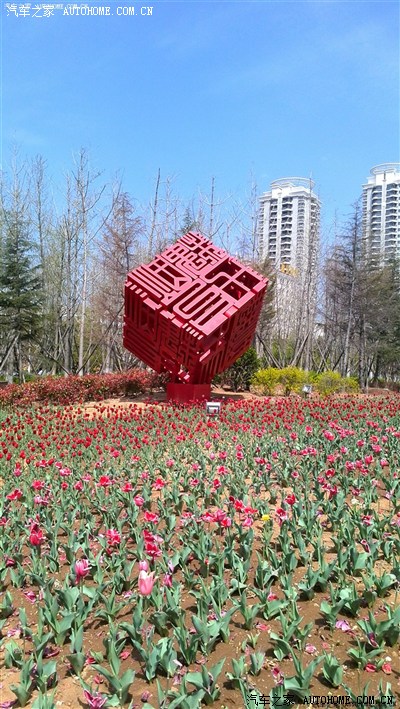 2014踏青之旅-烟台莱山郁金香赏花行