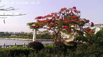 5.1劳动节鞍马劳顿_云南_手机汽车之家