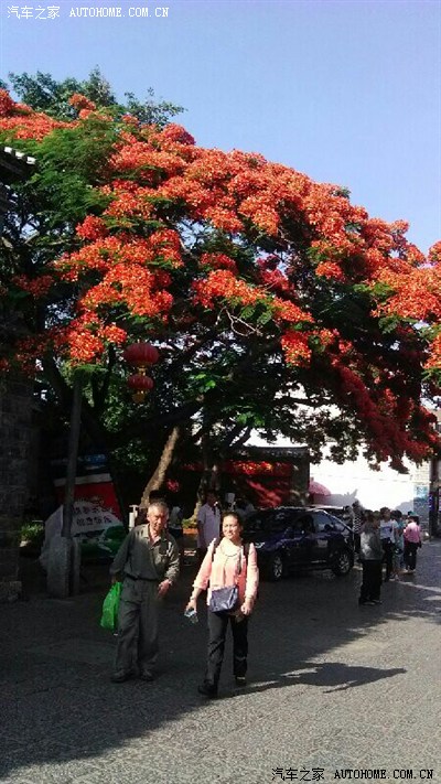 5.1劳动节鞍马劳顿_云南_手机汽车之家