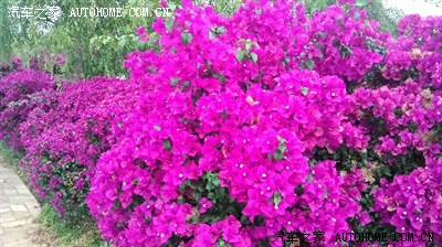 5.1劳动节鞍马劳顿_云南_手机汽车之家