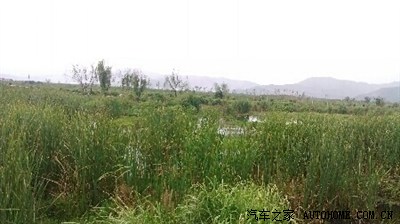 5.1劳动节鞍马劳顿_云南_手机汽车之家