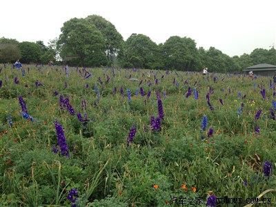 石象湖1日游_风云2论坛_手机汽车之家