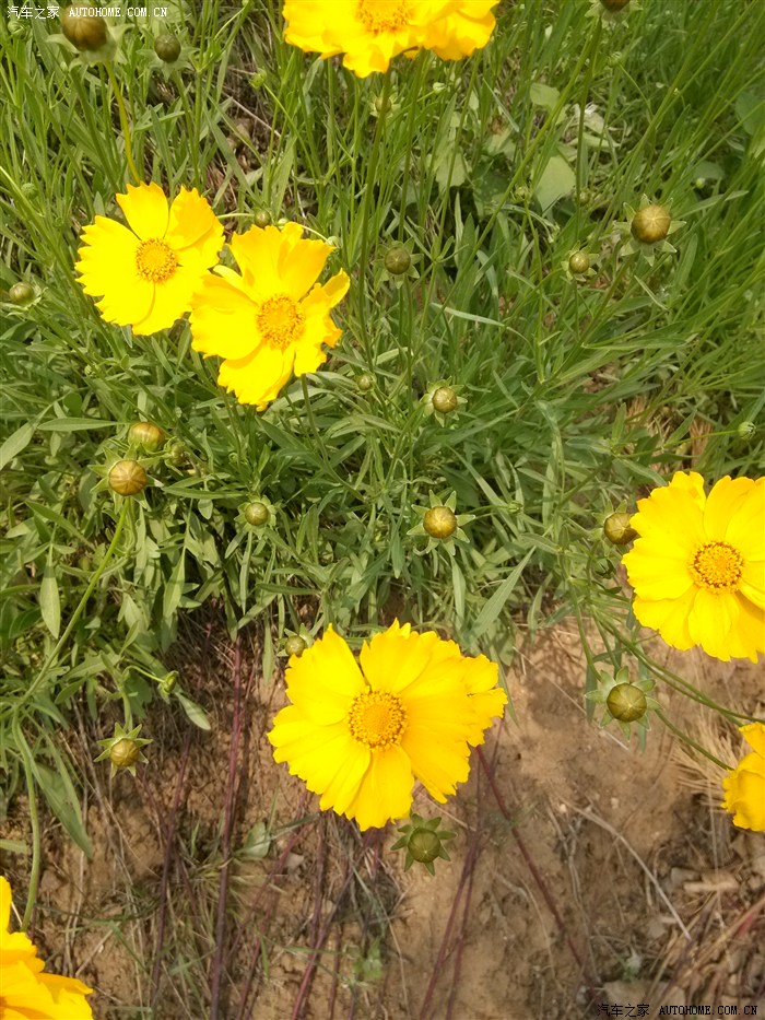 【图】谁按的索信导航