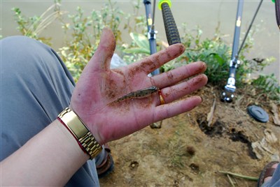 冷锅自驾天台山下水口钓现在少有的野生鱼种!