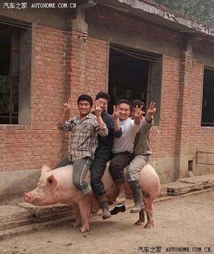 【图】大众能别忽悠我们老百姓嘛?