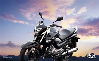 雅马哈飞致ys250和铃木骊驰GW250哪个好