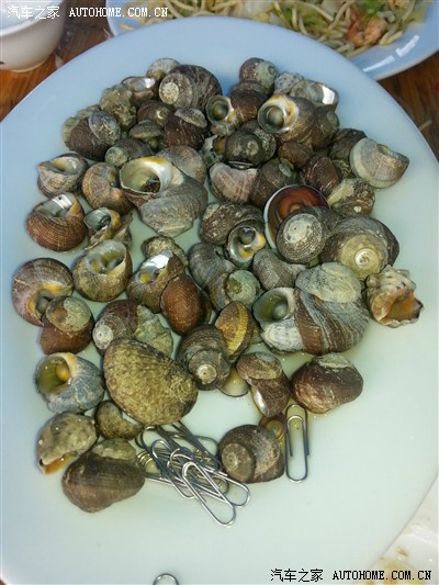 我翼东山有个约会,厦门翼虎车友群的阳光沙滩