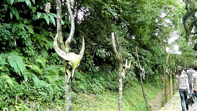 云南最后一个佤族原始部落--翁丁寨游记